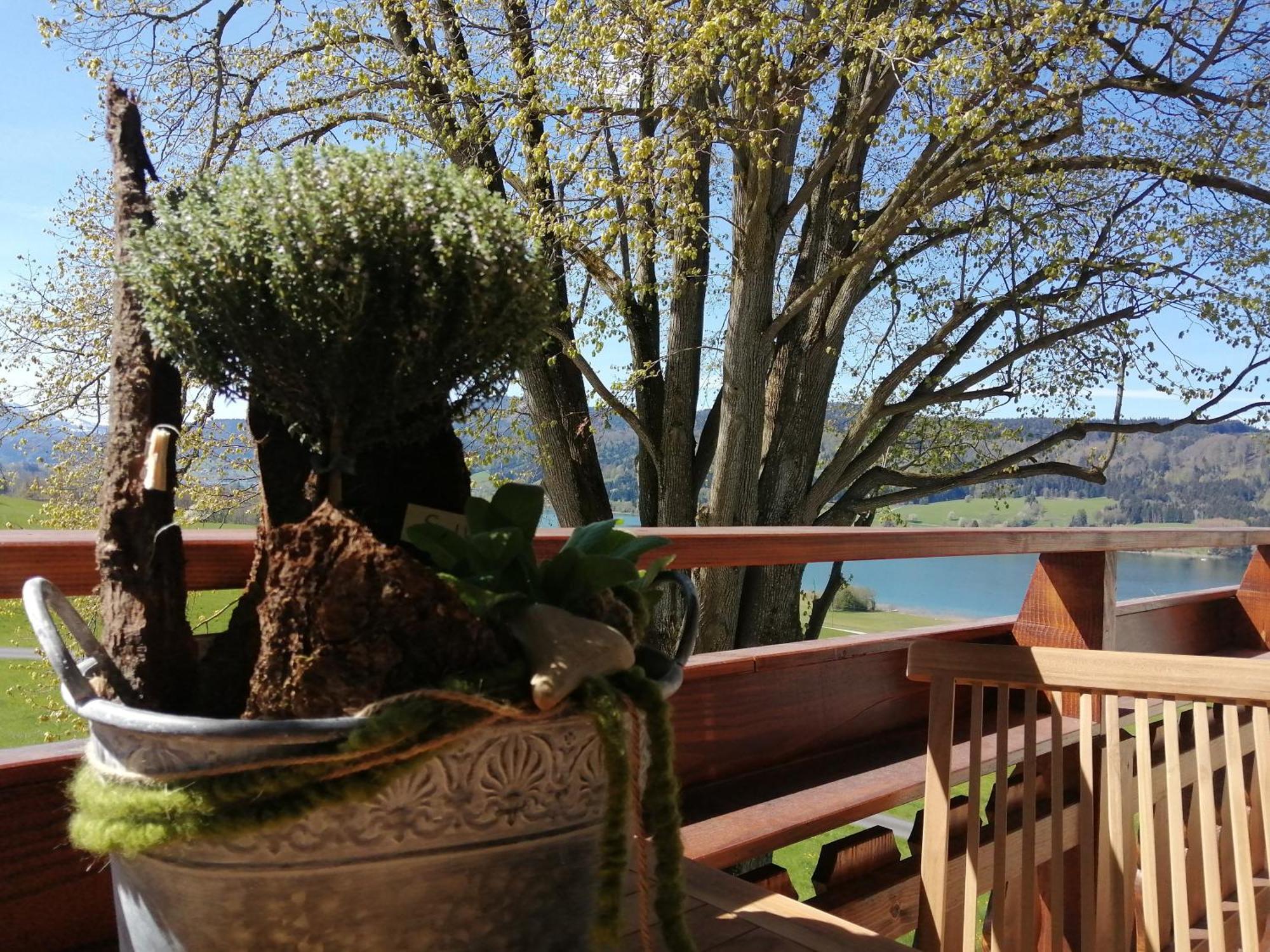 Roiderhof Irrsee Oberhofen am Irrsee Eksteriør bilde
