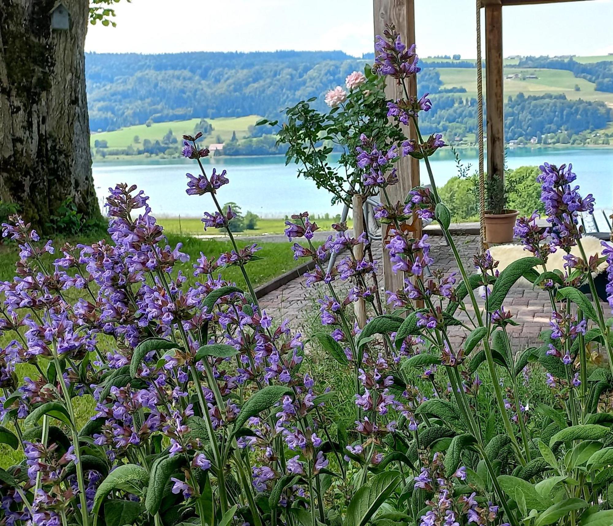 Roiderhof Irrsee Oberhofen am Irrsee Eksteriør bilde